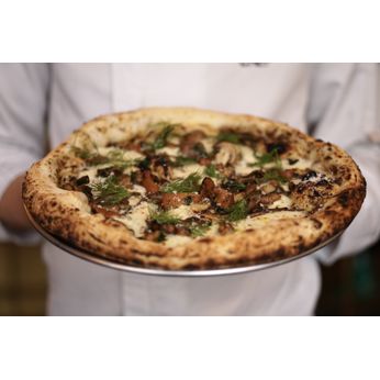 FUNGHI DI BOSCO